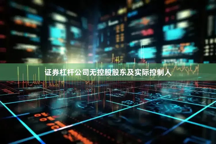 证券杠杆公司无控股股东及实际控制人