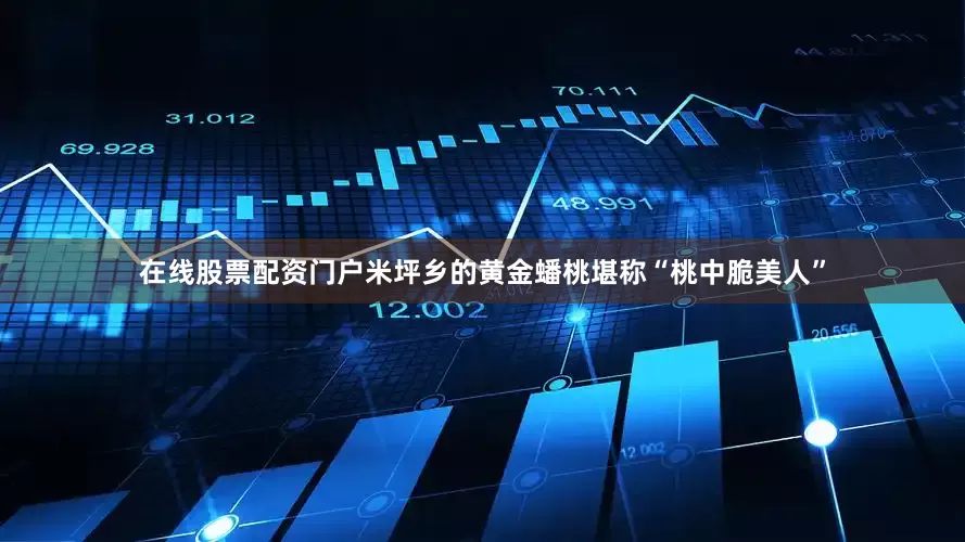 在线股票配资门户米坪乡的黄金蟠桃堪称“桃中脆美人”
