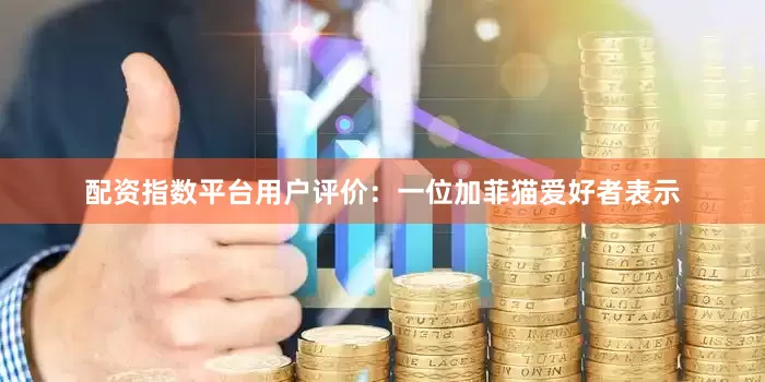 配资指数平台用户评价：一位加菲猫爱好者表示