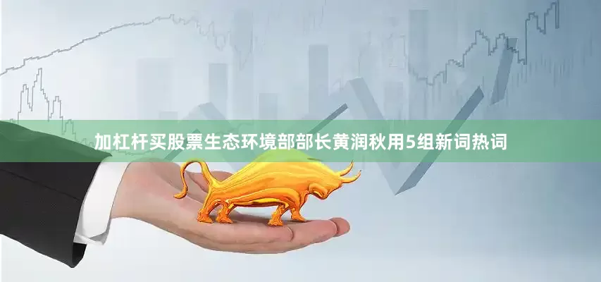 加杠杆买股票生态环境部部长黄润秋用5组新词热词